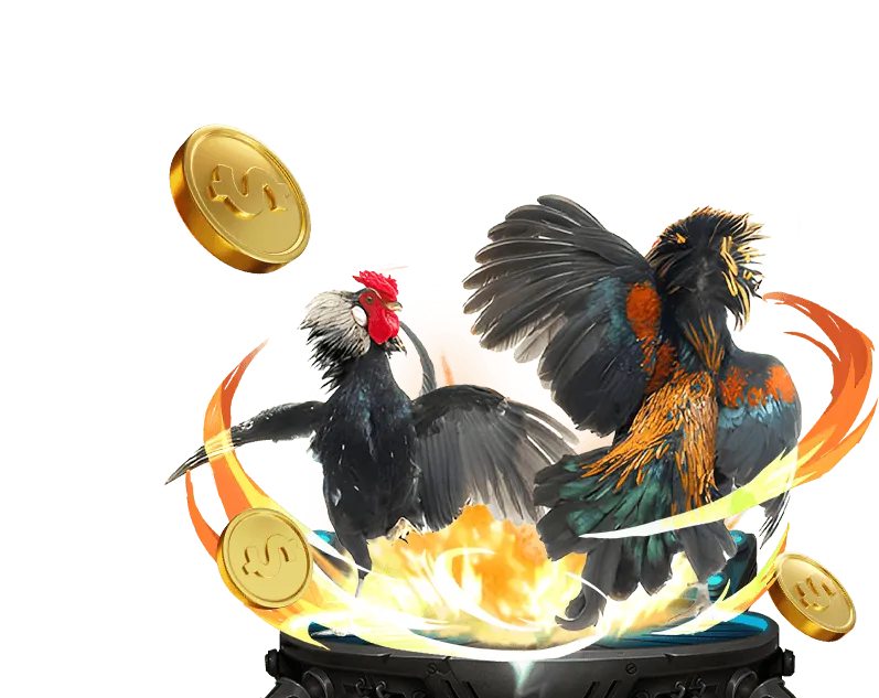 Giới Thiệu Thương Hiệu halo88